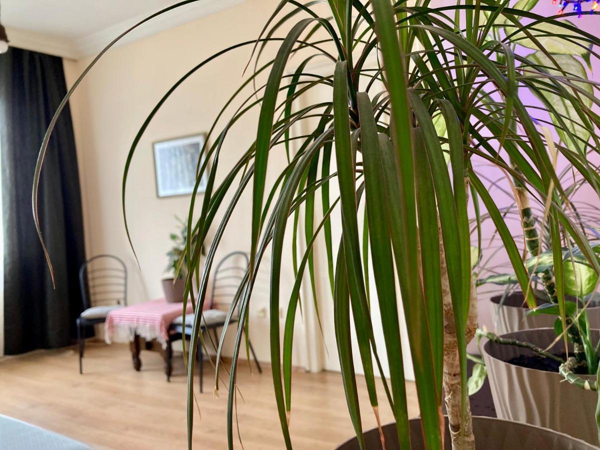 Terazije Square Lux Apartment Belgrád Kültér fotó